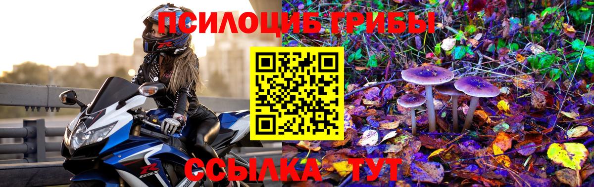 Псилоцибиновые грибы Cubensis  Вход с VPN  Галлюциногенные грибы ЛСД  сколько стоит  Минусинск 